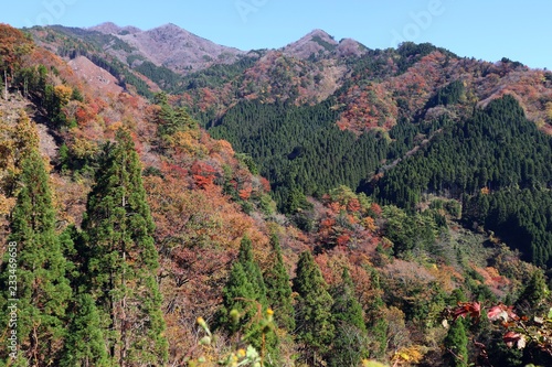 秋の愛宕山