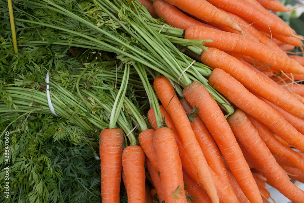 Fresh clean carrots with foliage on the market Fresh clean carrots with foliage on the market