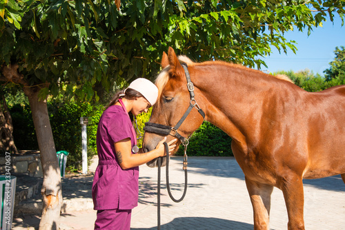 Portrait of young female equestrian veterinarian with brown horse at an animal park.