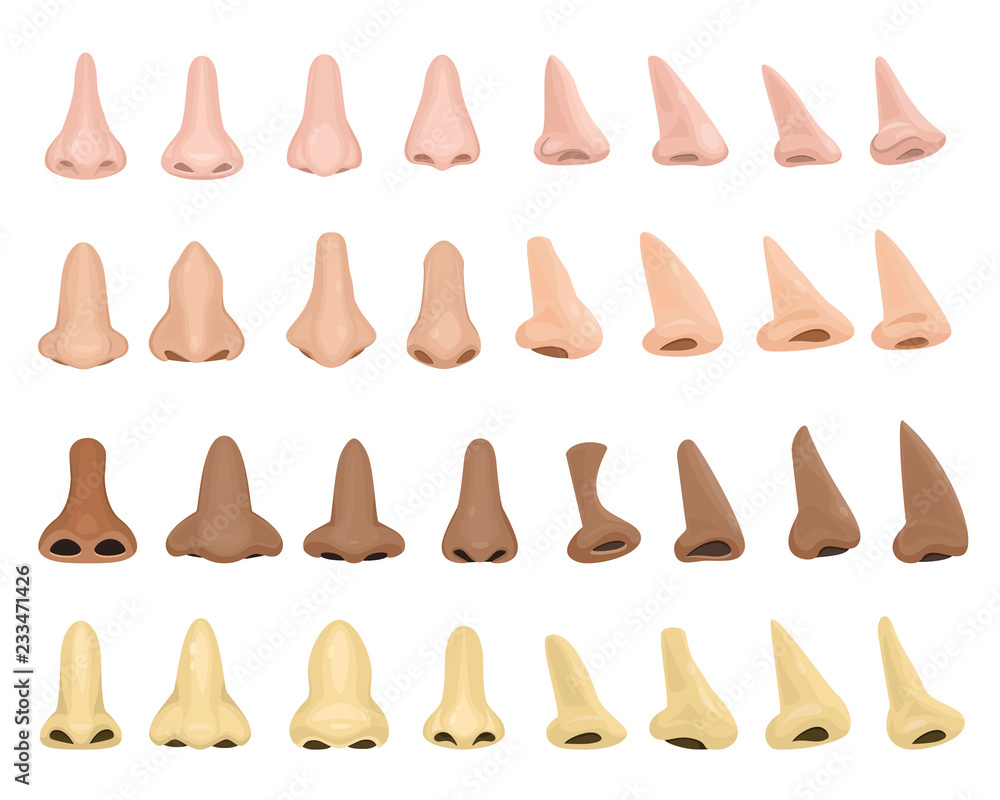 Human Nose Clipart Smelling
