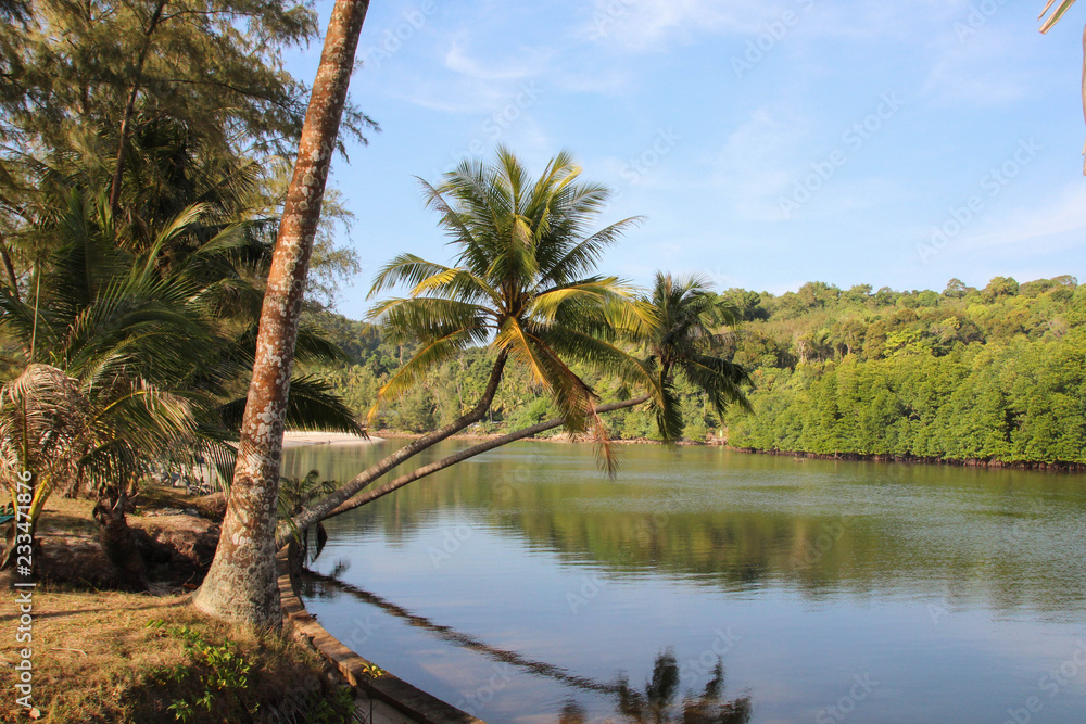Obraz premium Palm trees and a tropical deserted beach