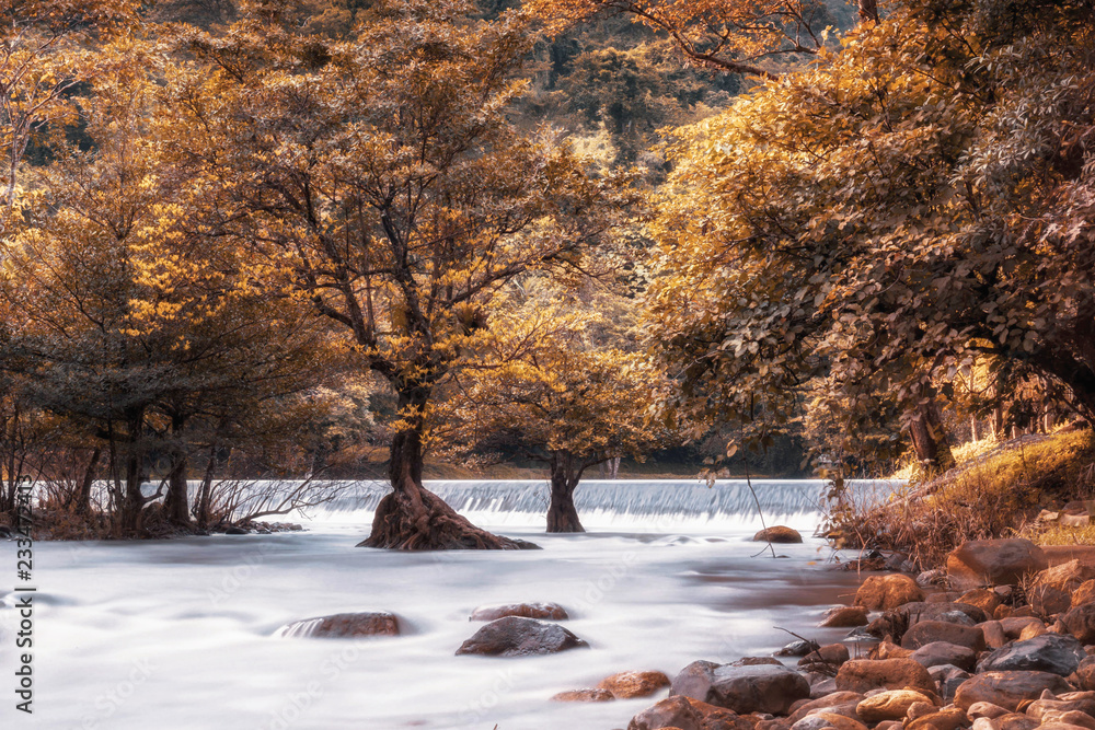 Brown trees over the smooth and white fluffy water surface in the river. Shot taken with long exposure Technic at the famous place of Nakhonnayok Thailand called Wang-takrai park Brown trees over the smooth and white fluffy water surface in the river. Shot taken with long exposure Technic at the famous place of Nakhonnayok Thailand called Wang-takrai park