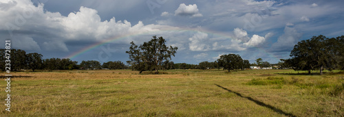 rainbow field panorama