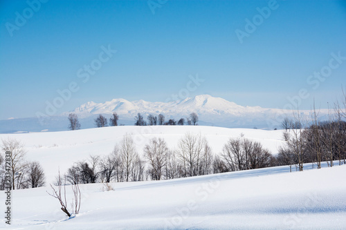 雪山と青空 大雪山