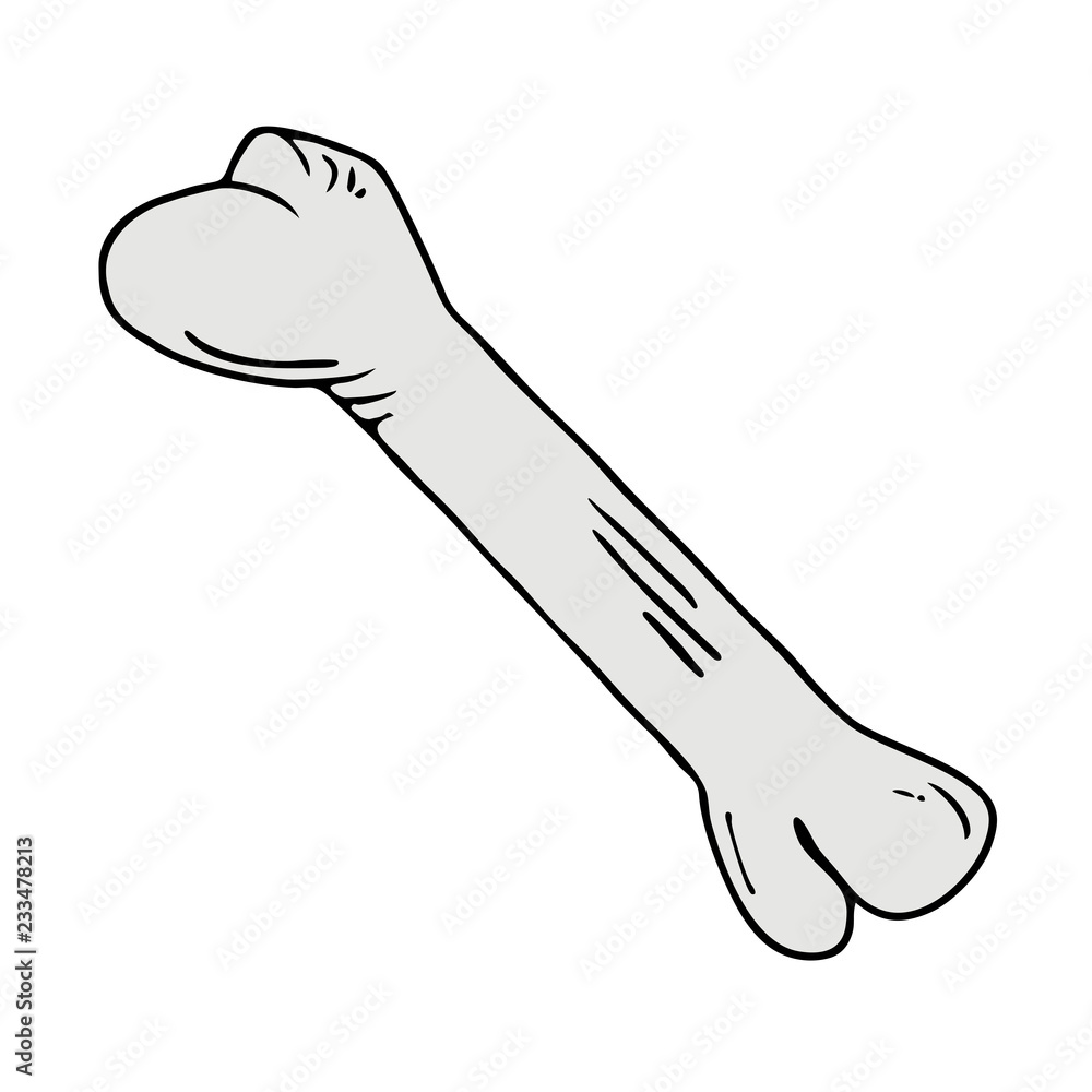 Bone illustration design