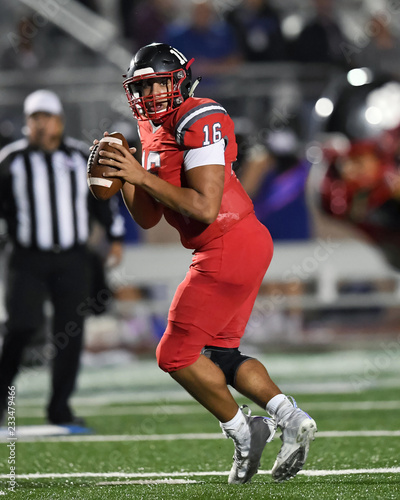 Football Quarterback making plays during a football game