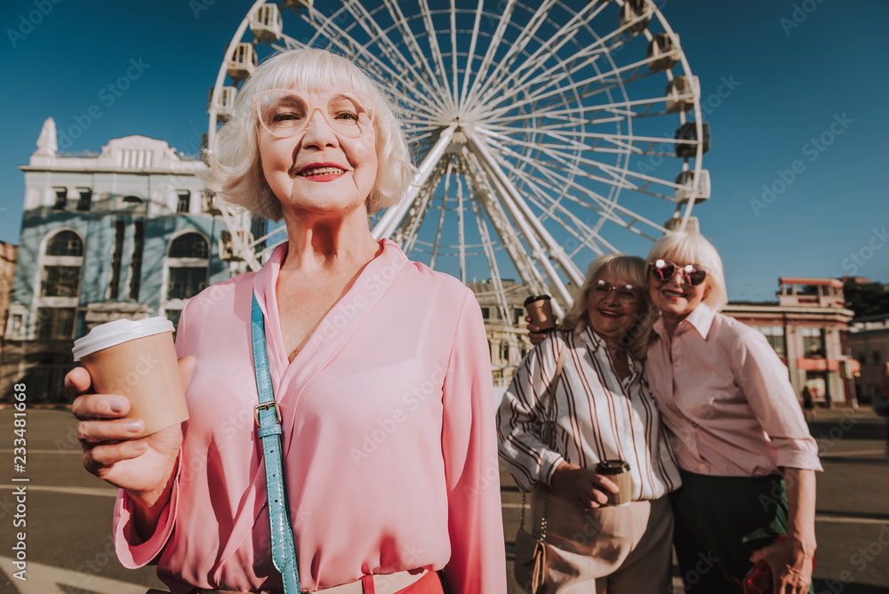 Waist up portrait of stylish adult woman in rose blouse staying on square with her female friends and ferris wheel on background
