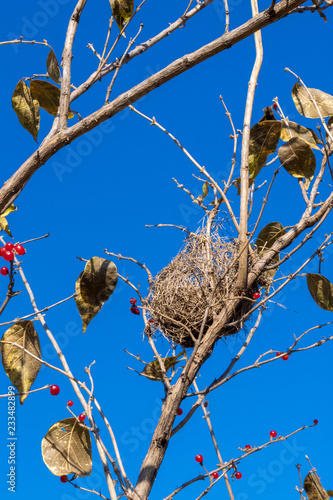 Fall Reveals Hidden Home