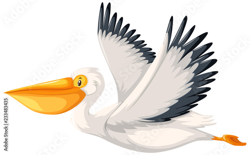 A pelican character on white background photo