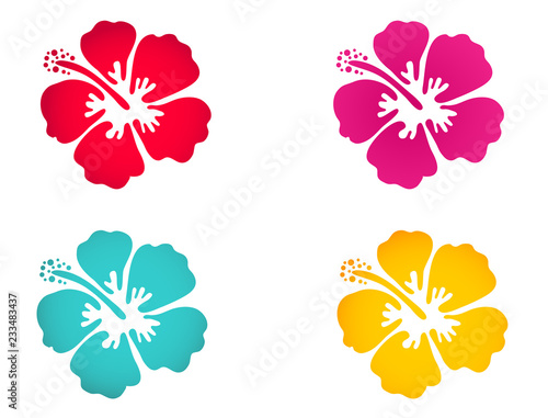 Hibiscus flower set - surfing and tropical symbol