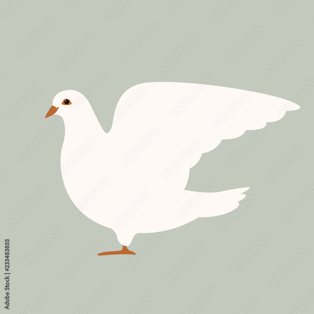Fototapeta premium dove bird vector illustration flat style profile