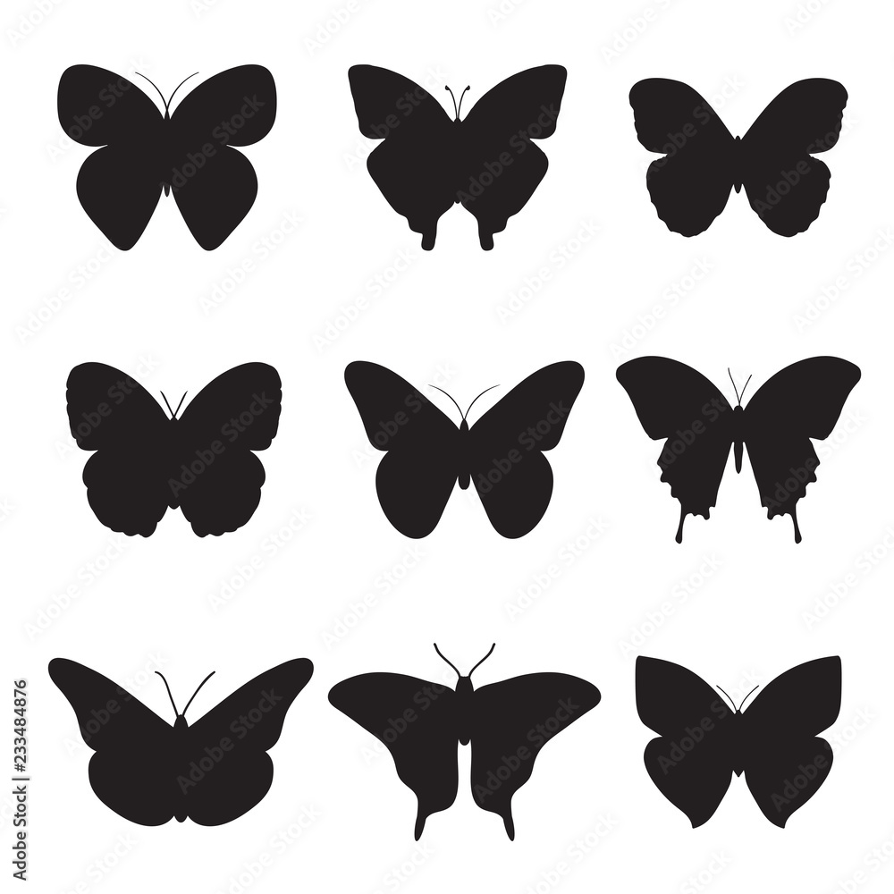 Black butterflies on white background. Black butterflies on white background.