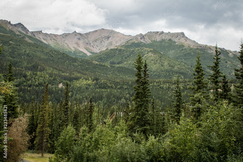 Alaska Mountain Range