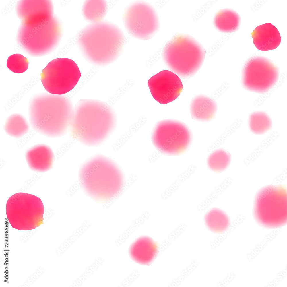 Pink rose petals falling valentine background. Pink rose petals falling valentine background.