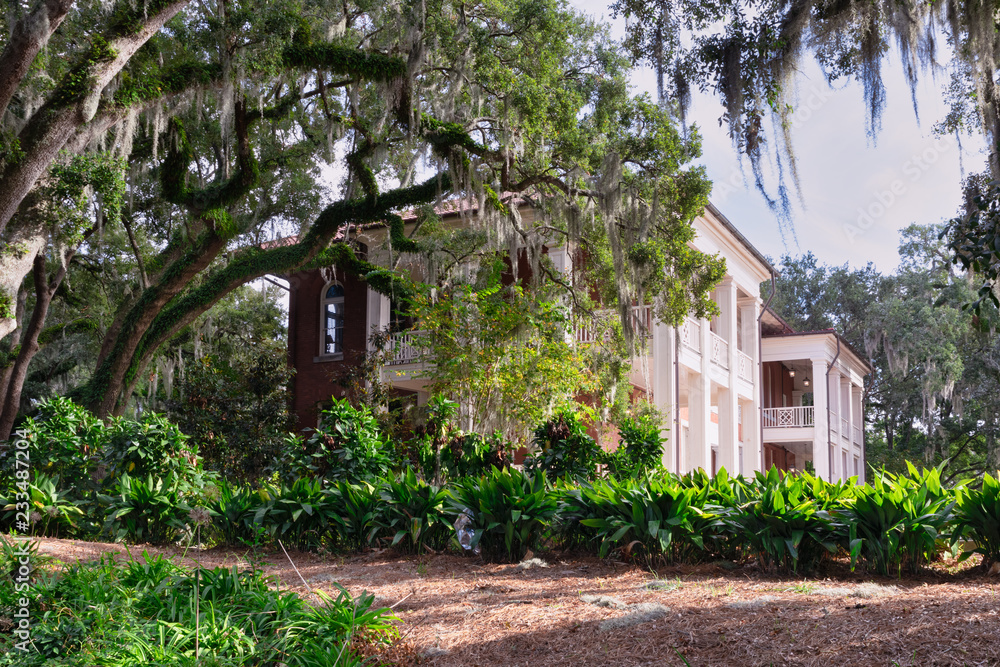 Fototapeta premium Old southern architecture in mossy trees