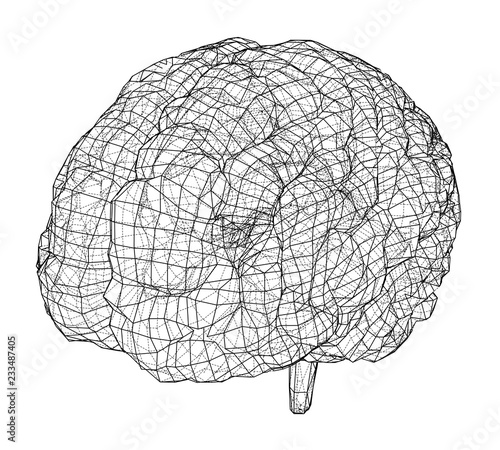 3D outline brain. Vector rendering of 3d