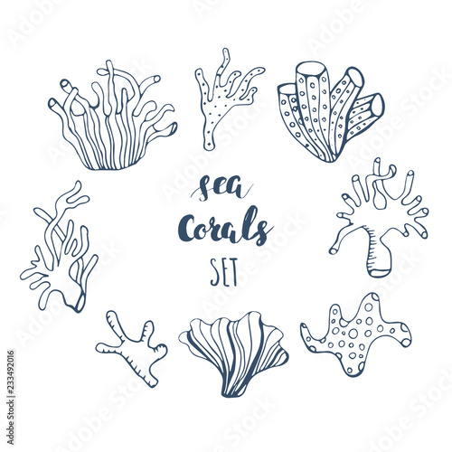 Set of hand drawn underwater coral reef elements. Vector design for your sea life illustration. Blue, pink, green, orange corals on white background.