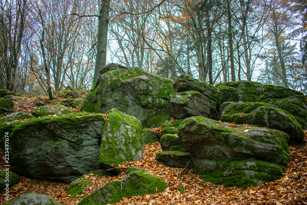 Herbstlandschaft in Großamberg in Oberösterreich Herbstlandschaft in Großamberg in Oberösterreich