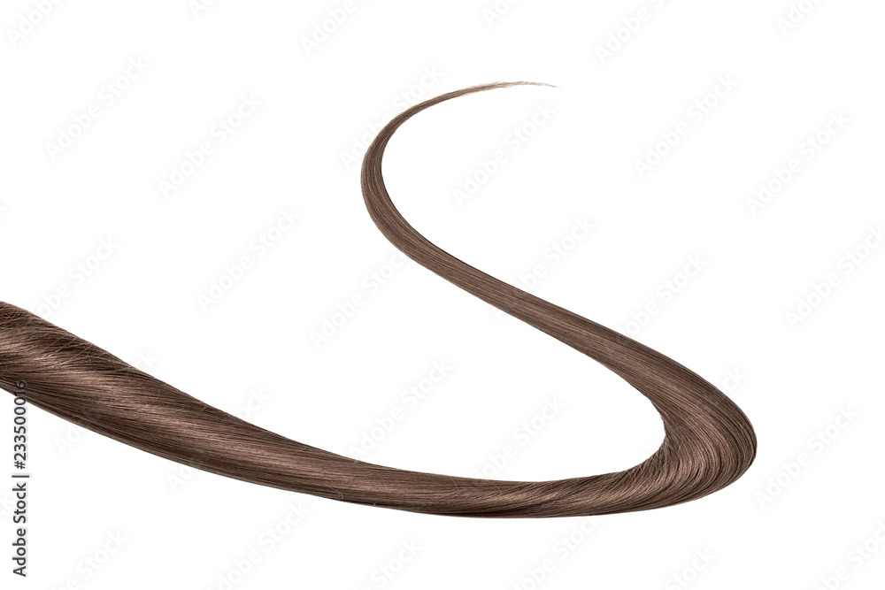 Fototapeta premium Thin curl of brown hair isolated on white background. Top-down view