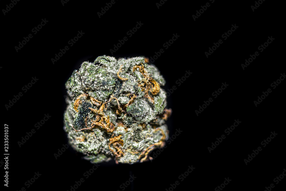 An isolated bud with orange hairs similar to yarn and round in shape.
