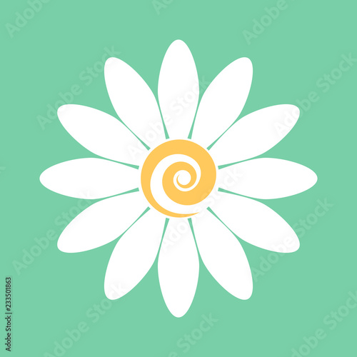 Chamomile. Flower. Isolated graphic element. Vector graphics.