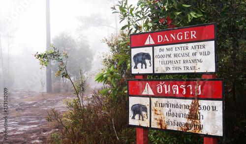 warning elephant danger / red sign set on walkway in the forest warning beware of elephant Wildlife danger