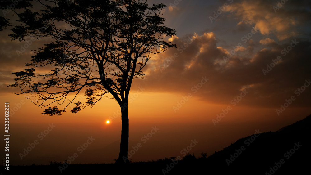 Sunset tree on the mountain beautiful dramatic sky yellow gold with cloud background / Silhouette Sunset or Sunrise with one tree stand on hill Sunset tree on the mountain beautiful dramatic sky yellow gold with cloud background / Silhouette Sunset or Sunrise with one tree stand on hill