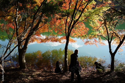 秋 紅葉 湖畔 湖で紅葉を楽しむ人々 シルエット 紅葉狩り
