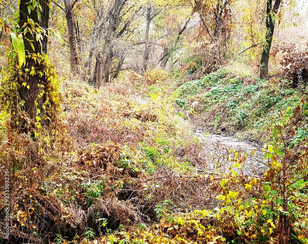 Fototapeta premium Late fall
