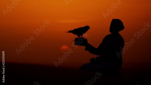 Proud Arab in dishdasha in silhouette at sunrise with his trained falcon photo