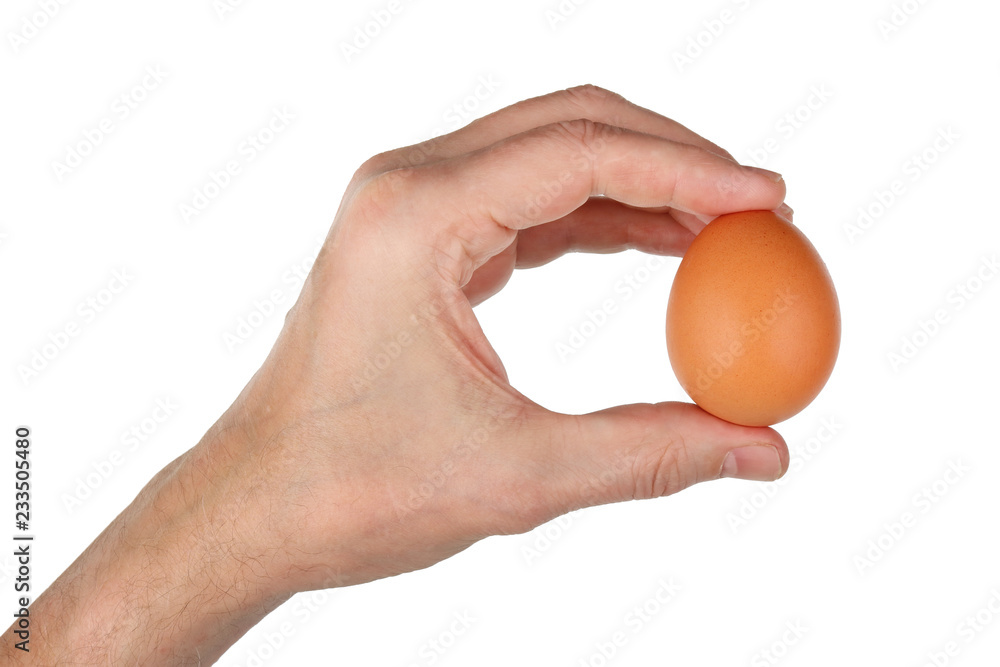 Fermer holds in his hand a fresh red chicken egg. Isolated Fermer holds in his hand a fresh red chicken egg. Isolated