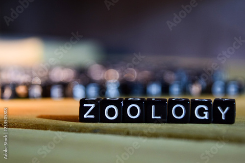 ZOOLOGY concept wooden blocks on the table. With personal development, education and motivation concept on blurred background