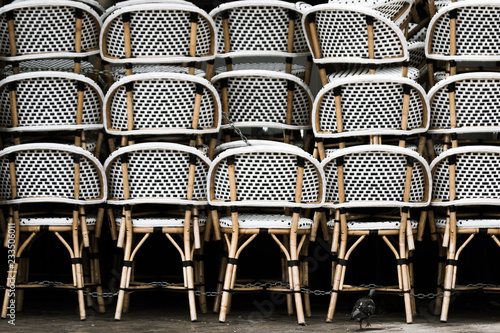 Canvas Print seats with pigeon