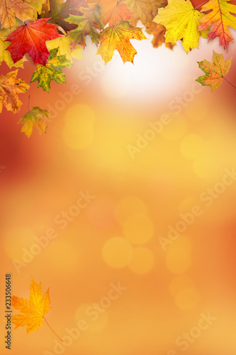 A frame made with autumn leaves and sunny bokeh background