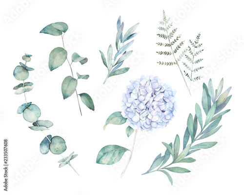 Watercolor greenery set. Botanical  winter illustration with eucalyptus branch and blue hydrangea. Vintage hand drawn plant