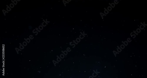 Natural organic dust particles fly in the air on dark background