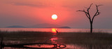 Landscape of the sun setting over Lake Kariba with an African Grey Heron perched directly beneath the rays of the setting sun.  The perfect ending to a beautiful day.  Lake Kariba, Zimbabwe