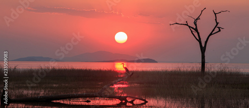 Landscape of the sun setting over Lake Kariba with an African Grey Heron perched directly beneath the rays of the setting sun. The perfect ending to a beautiful day. Lake Kariba, Zimbabwe