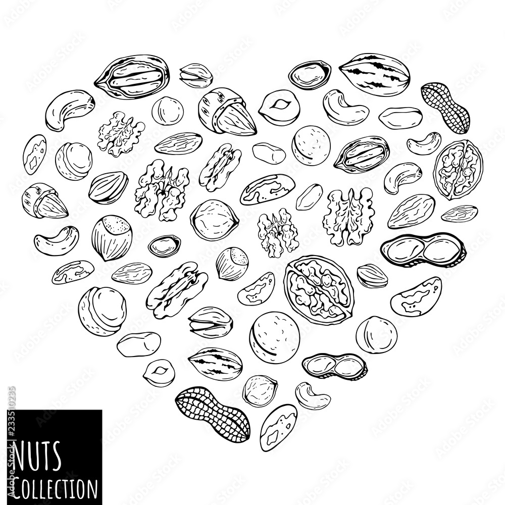 Group of vector illustrations on the nutrition theme; set of different kinds of nuts. Realistic isolated objects for your design. Heart lined with nuts. Group of vector illustrations on the nutrition theme; set of different kinds of nuts. Realistic isolated objects for your design. Heart lined with nuts.
