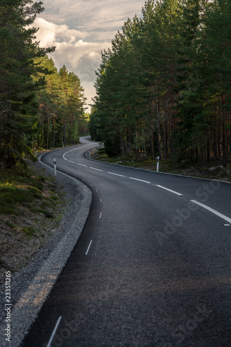 Curved tarmac road passing trough a pine forest in Sweden