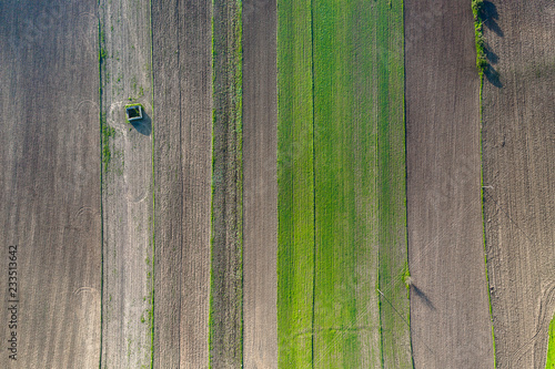 vista aerea di campi coltivati