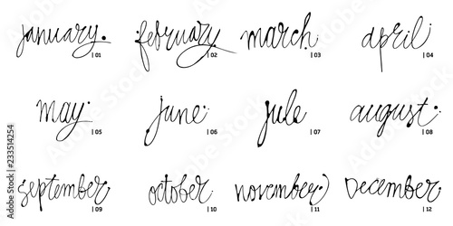 Handwritten names of months December, January, February, March, April, May, June, July, August September October November Calligraphy words for calendars and organizers. Vector illustrations.