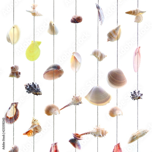 Variety seashells hanging isolated on the white wall