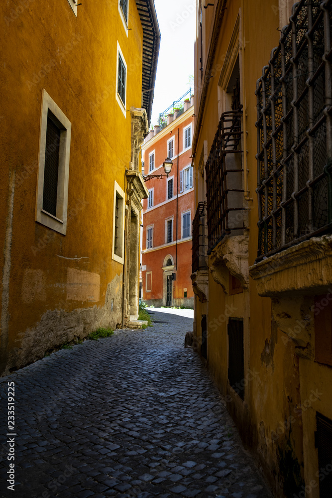alley of the Rome historic centre