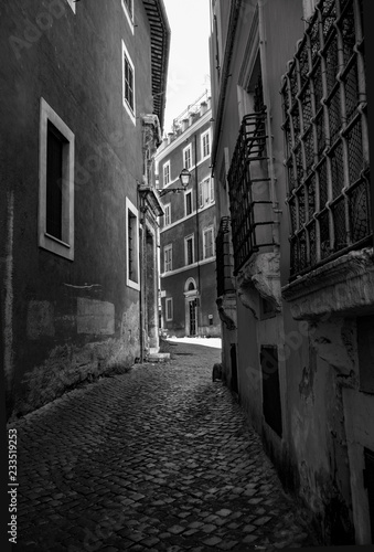 alley of the Rome in black and white