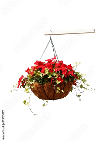 Hanging basket of beautiful flowers isolated on white background