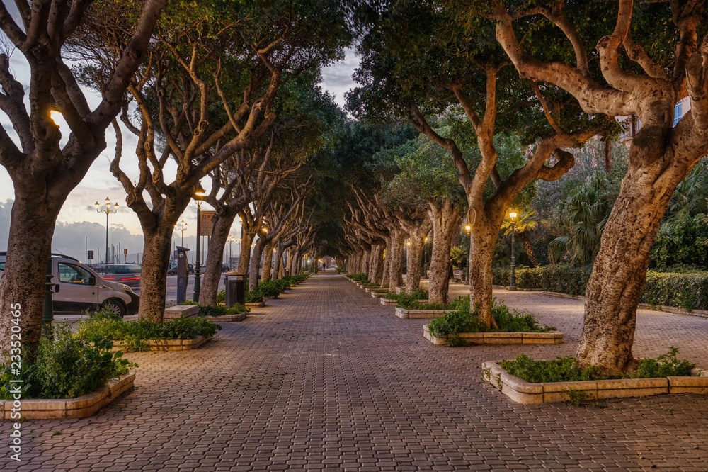 Obraz premium Trapani City Canopy