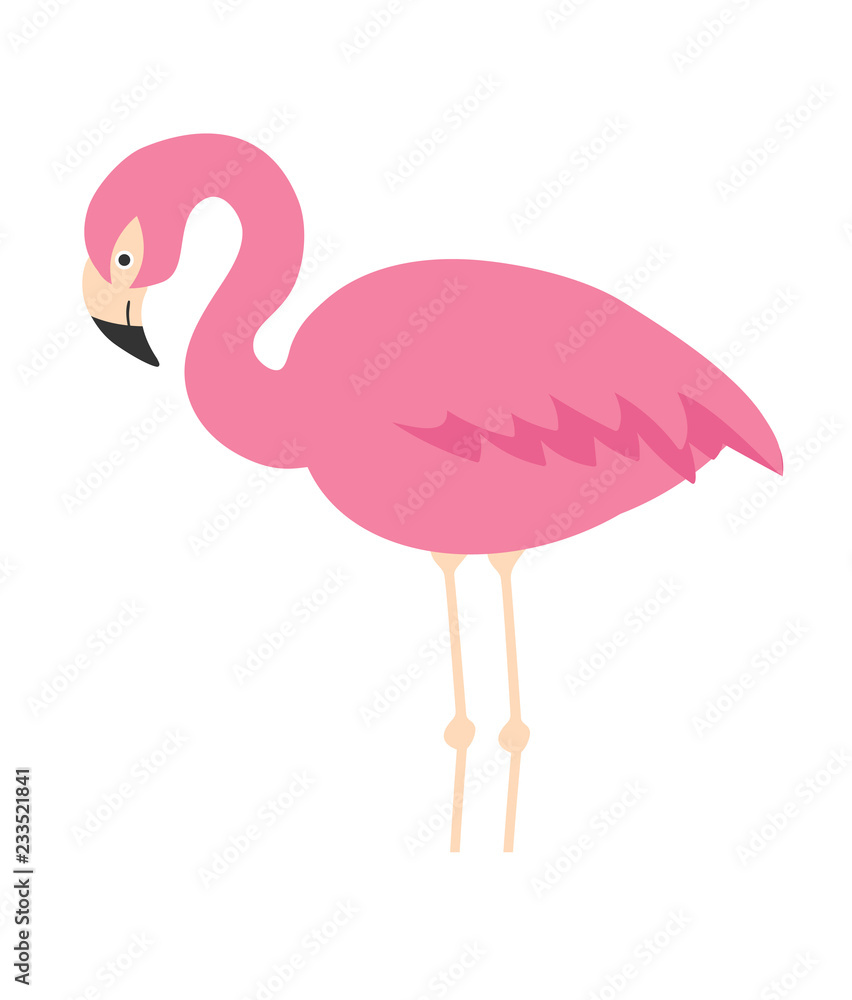 Fototapeta premium illustration of cute cartoon flamingo on white background