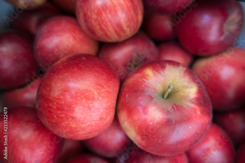 Close view of ripe red apples (Jonathan )