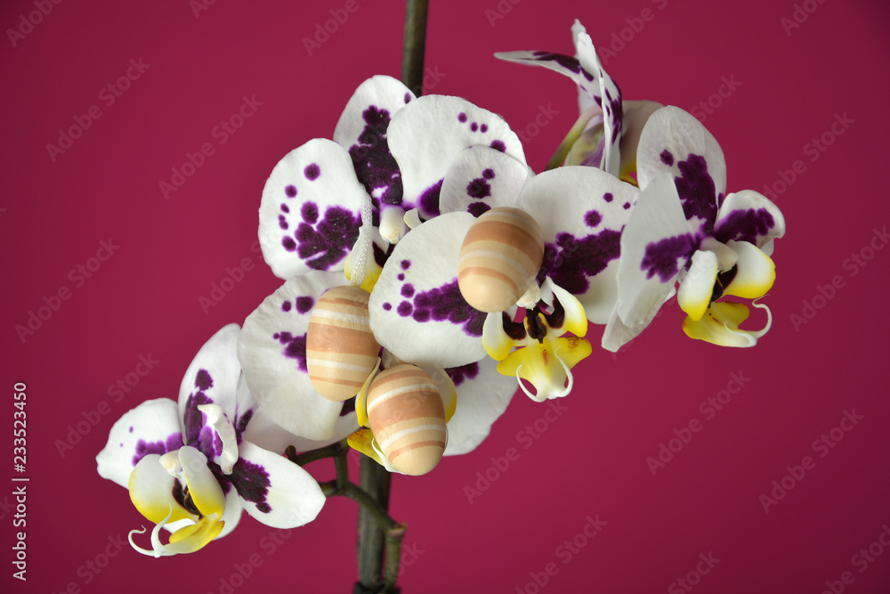 Fototapeta premium Easter egg on flower